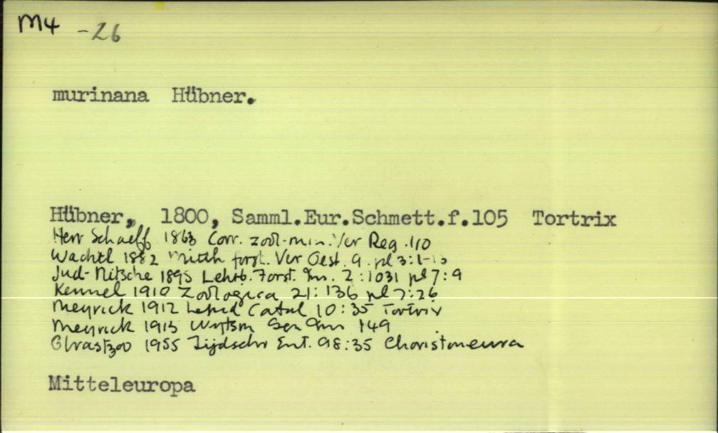 front of card